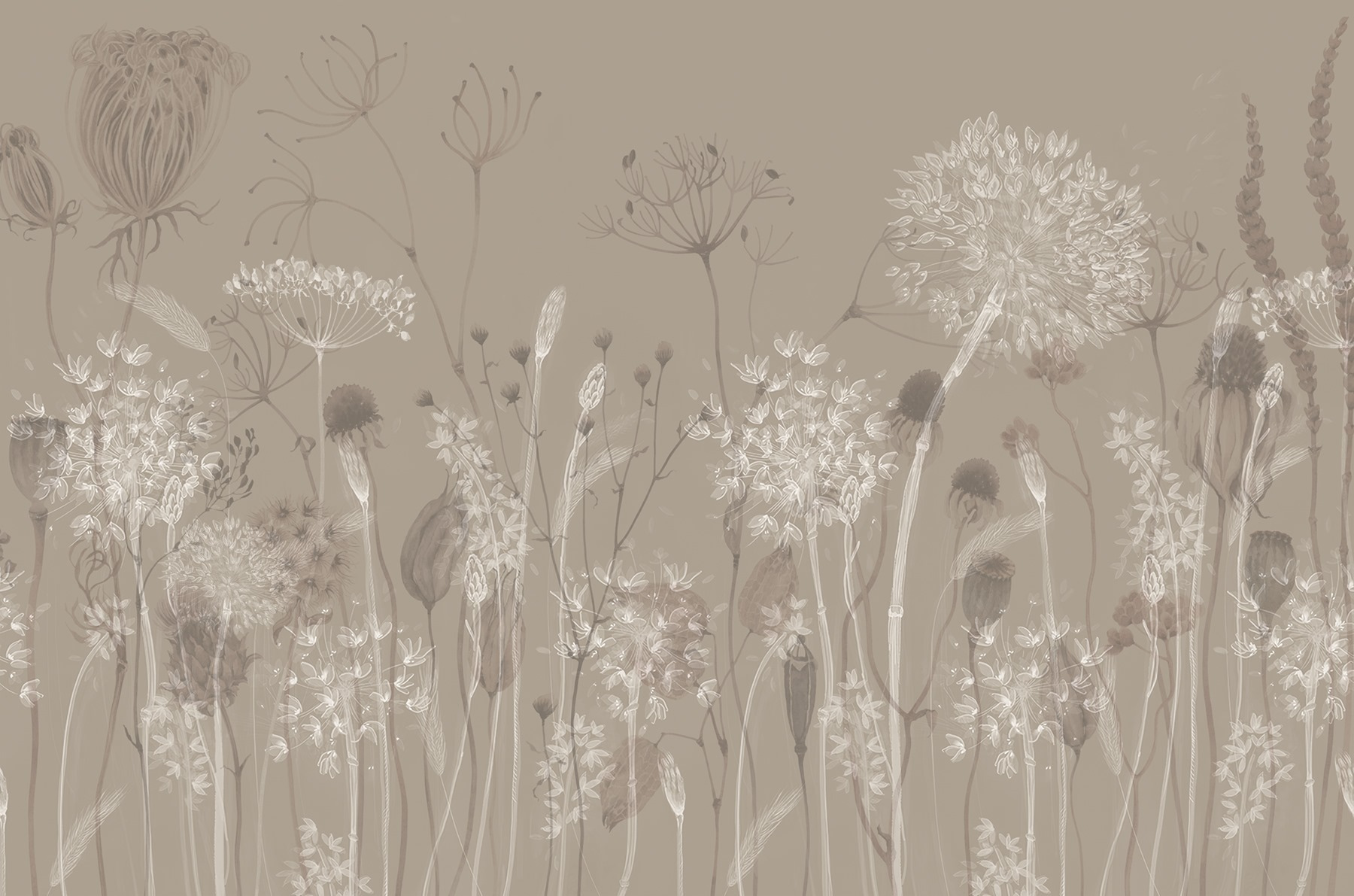 Delicate flora in soft hues Delicate flora in soft hues