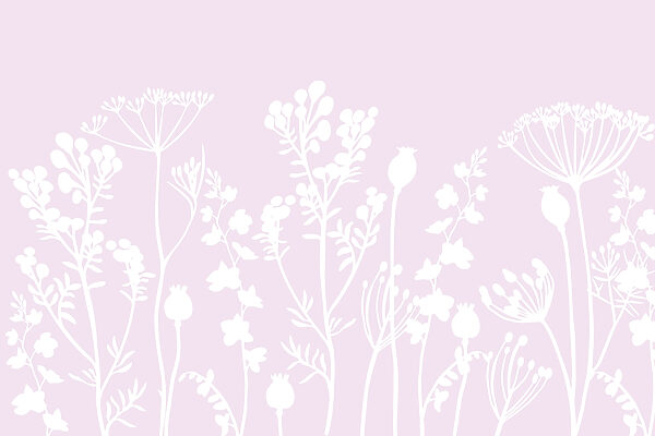 White flowers and leaves on a pink background White flowers and leaves on a pink background