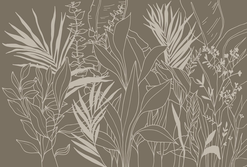 Drawing of plants and leaves