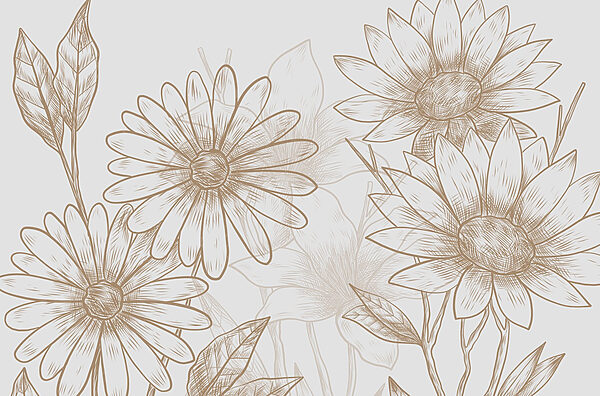 Drawing of flowers on a white background