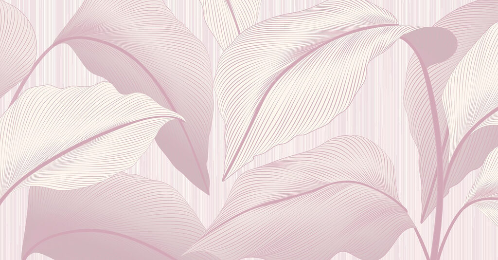 Soft hues of nature's elegance