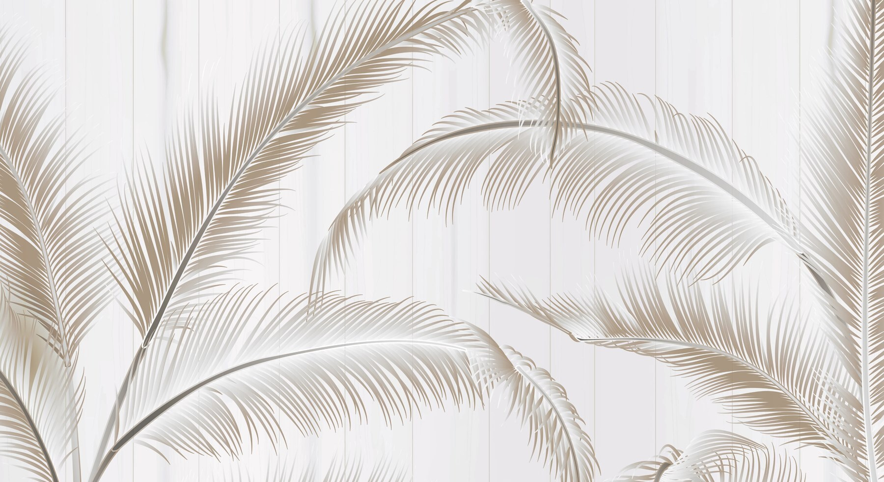 Elegant palm leaves on a light background Elegant palm leaves on a light background