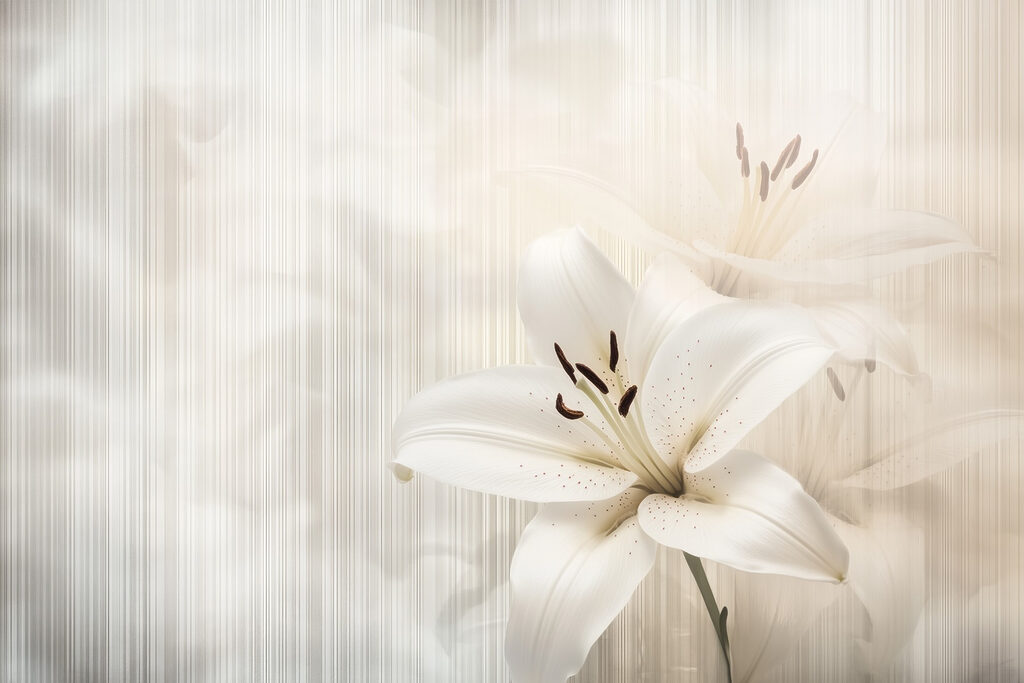 Elegant white lilies in soft hues