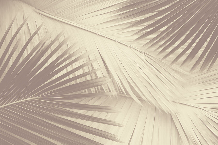 Nature's texture in soft tones Nature's texture in soft tones