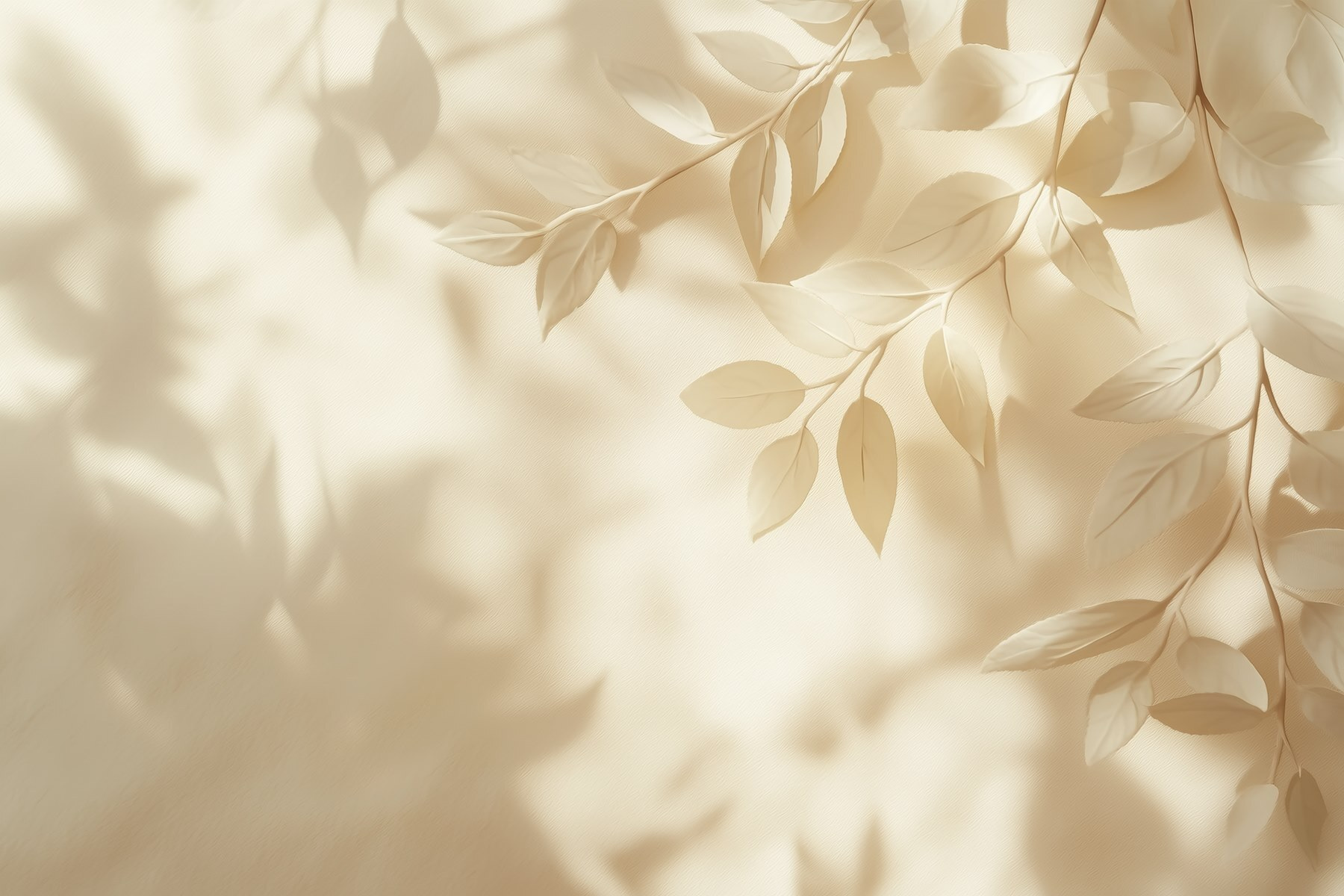 White leaves on a white surface