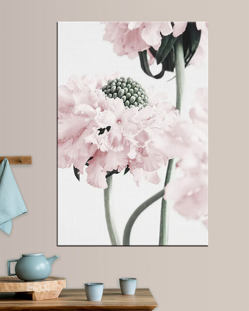 Delicate petals in soft hues