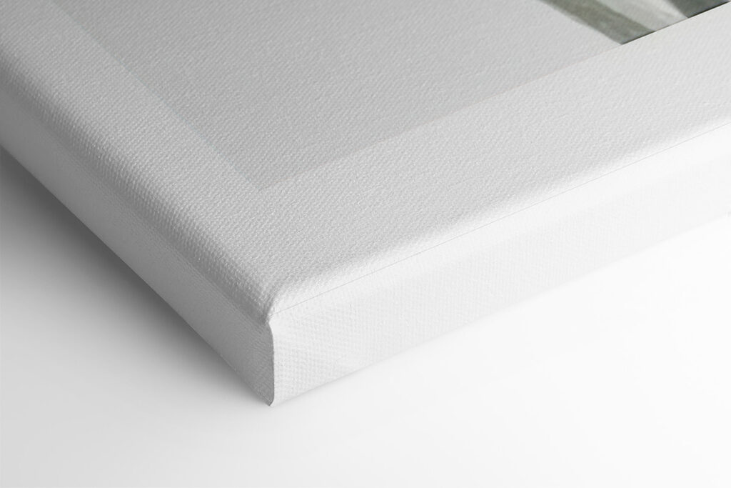 Delicate petals in soft hues