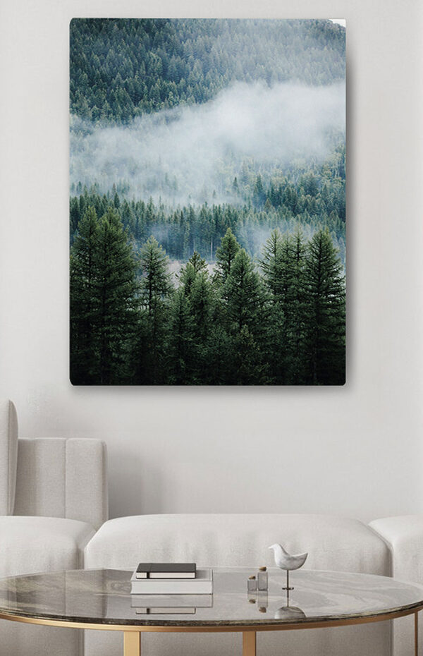 Картина Ліс з туманом і хмарами