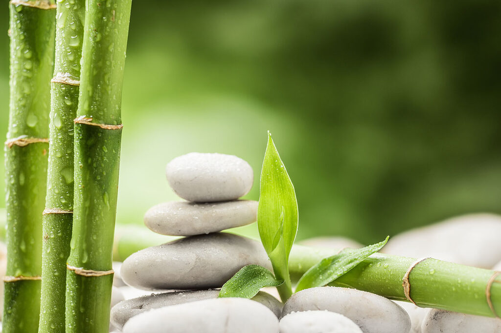 Stack of rocks and bamboo Stack of rocks and bamboo