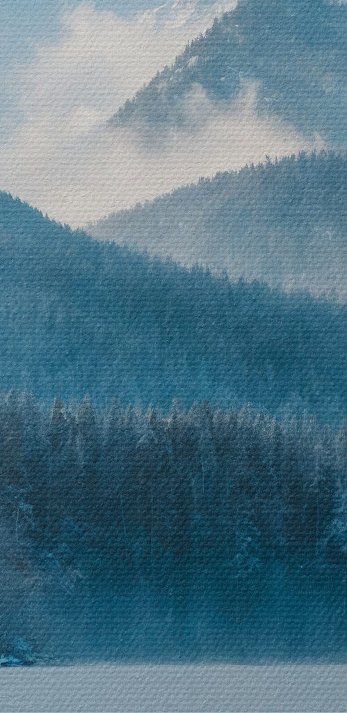 Lake with snow and trees in the background