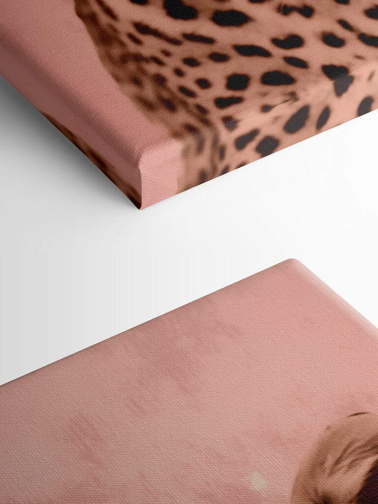 Majestic leopard in soft tones