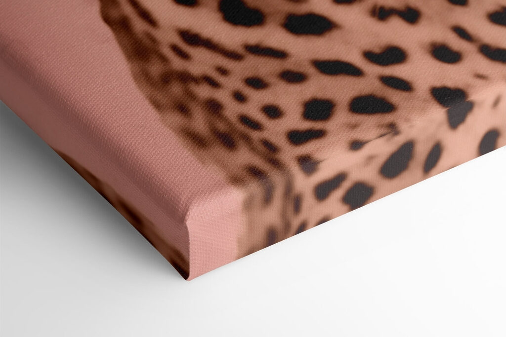 Majestic leopard in soft tones