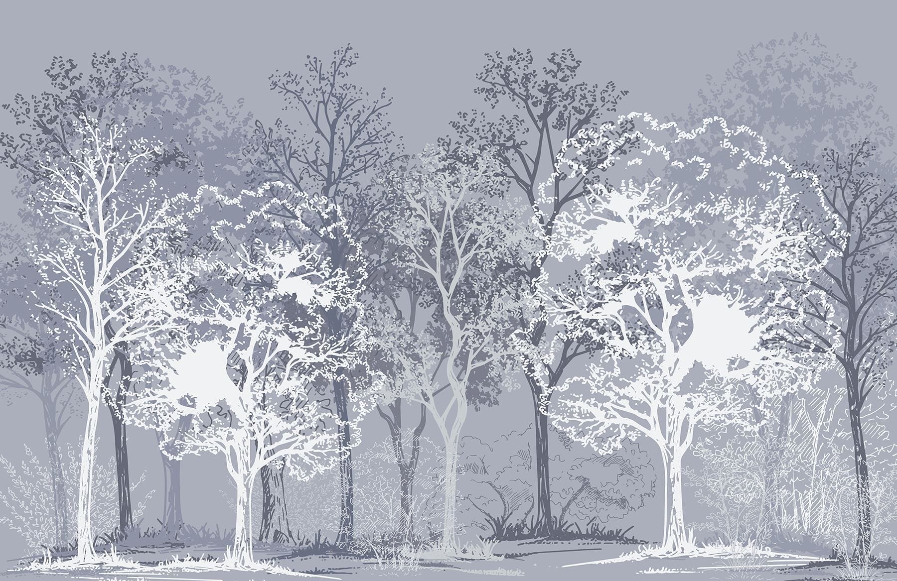 Group of trees in a forest Group of trees in a forest