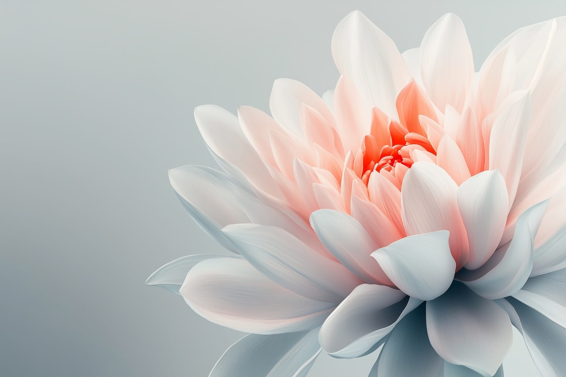 Delicate petals in soft pastel hues Delicate petals in soft pastel hues