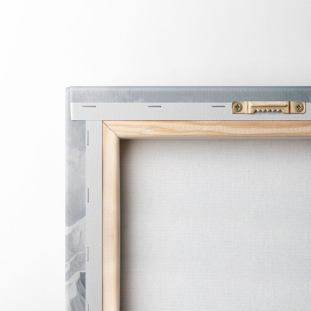 Mountain range with snow