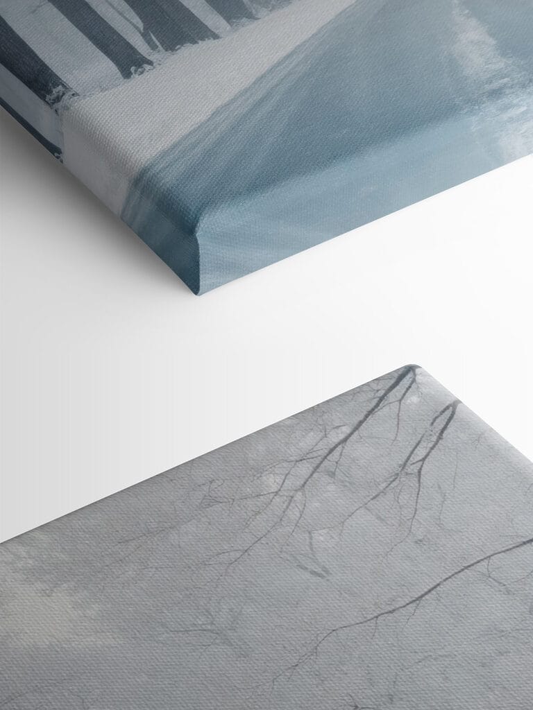 Road with snow covered trees