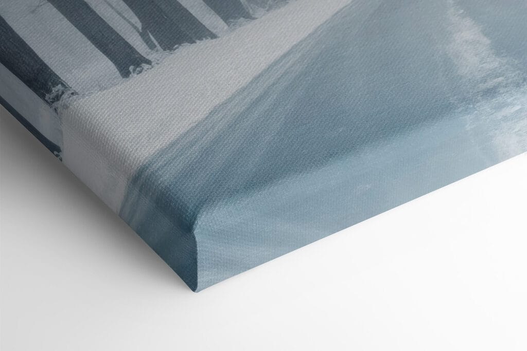 Road with snow covered trees