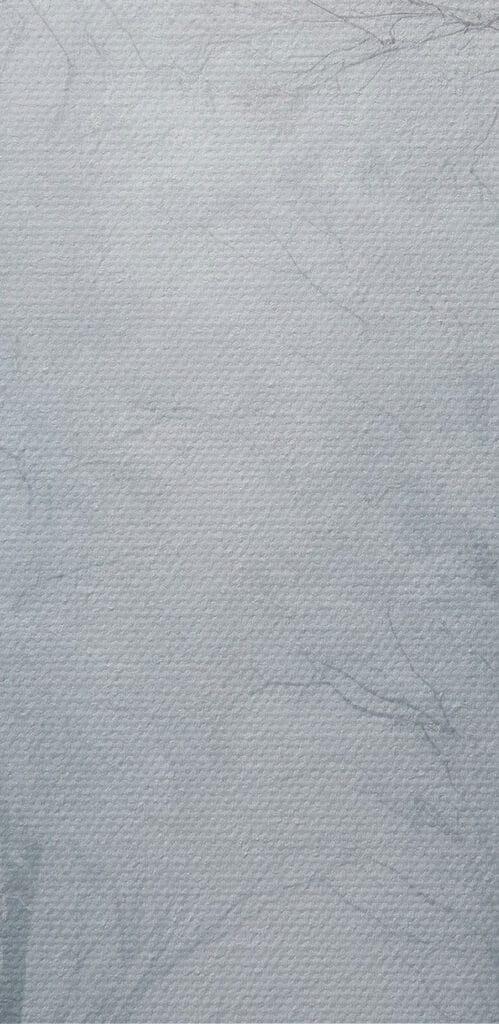 Road with snow covered trees