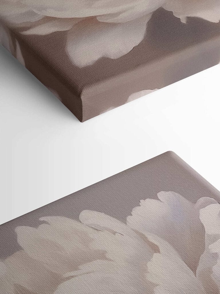 Delicate petals in soft hues Delicate petals in soft hues