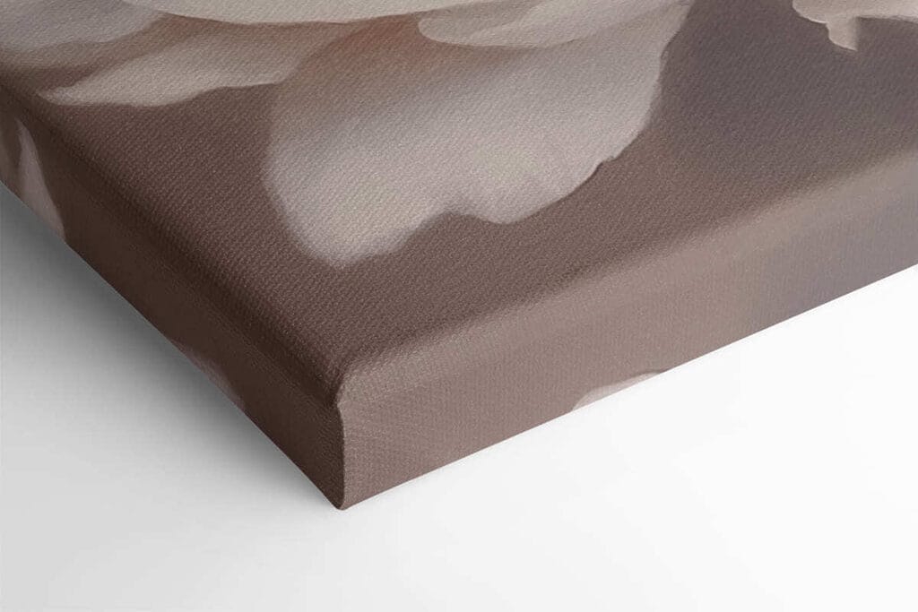 Delicate petals in soft hues Delicate petals in soft hues