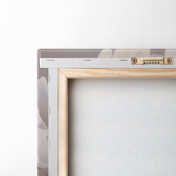 Delicate petals in soft hues Delicate petals in soft hues