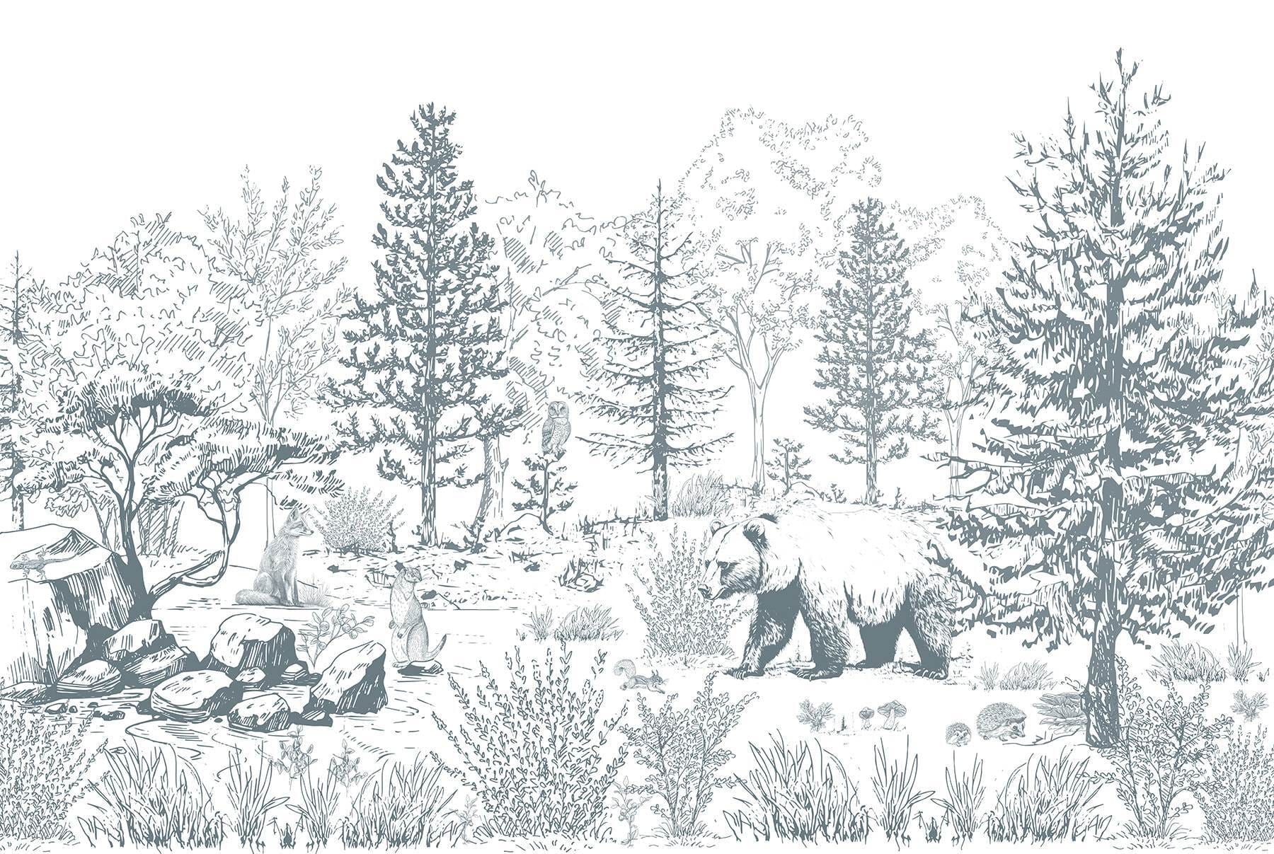 Bear in the woods Bear in the woods