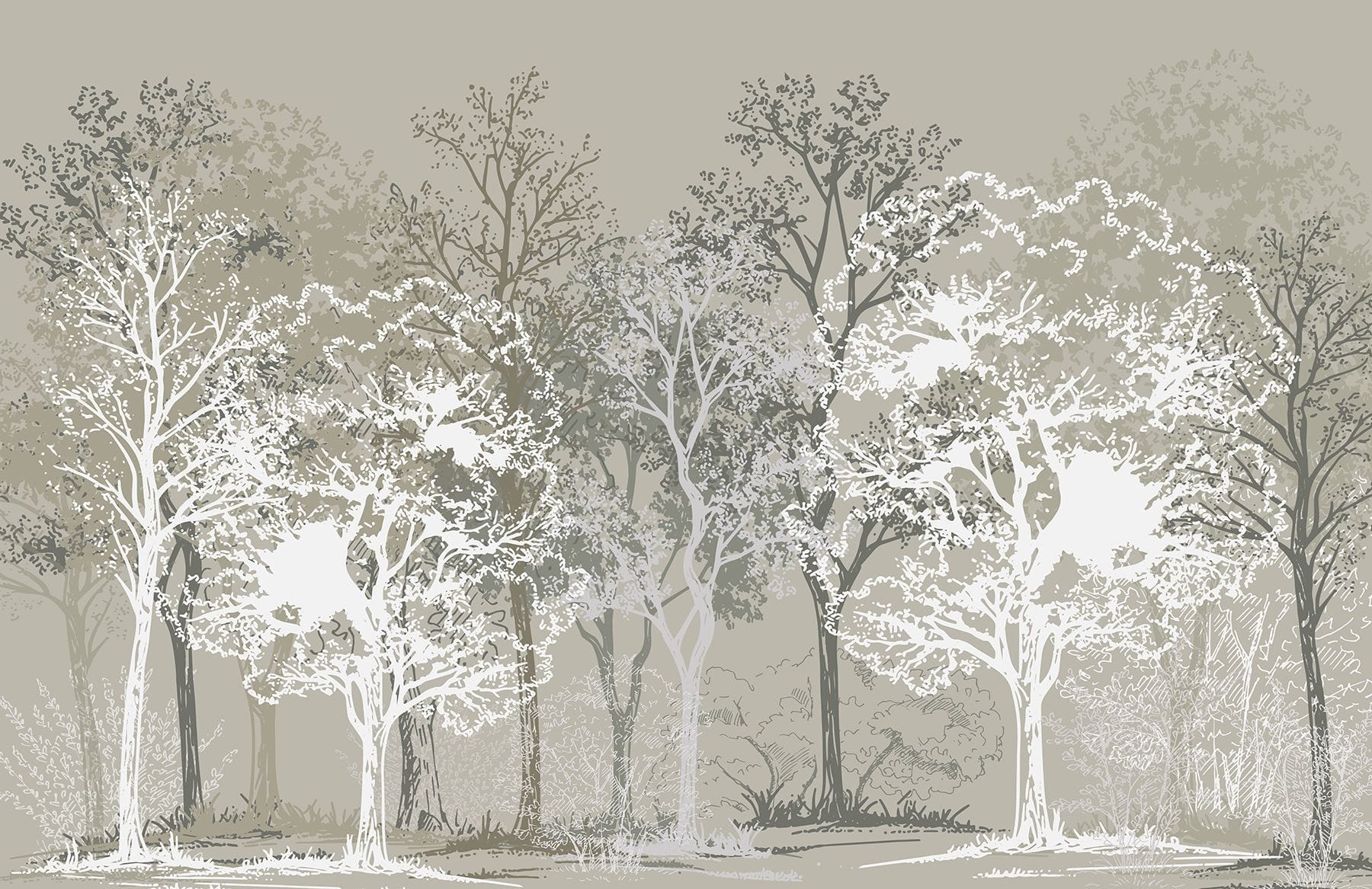 Group of trees in a forest Group of trees in a forest
