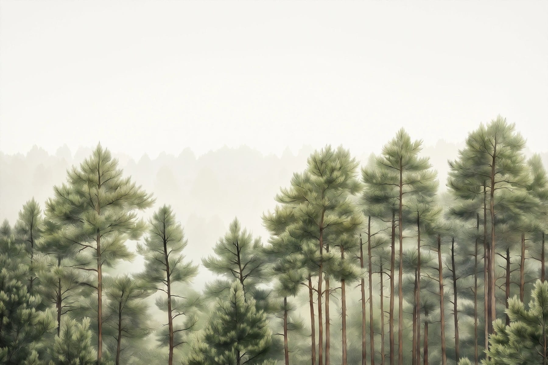 Group of trees in a forest