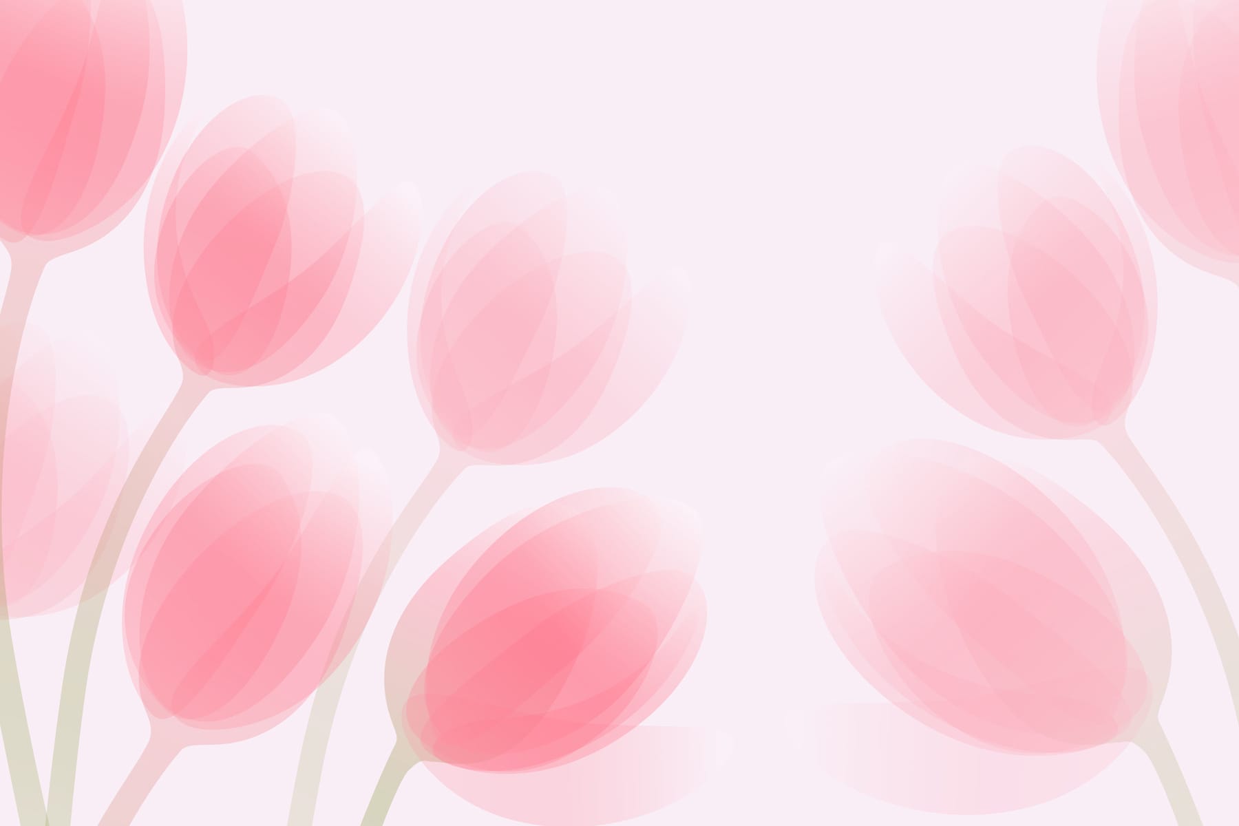 Group of pink flowers