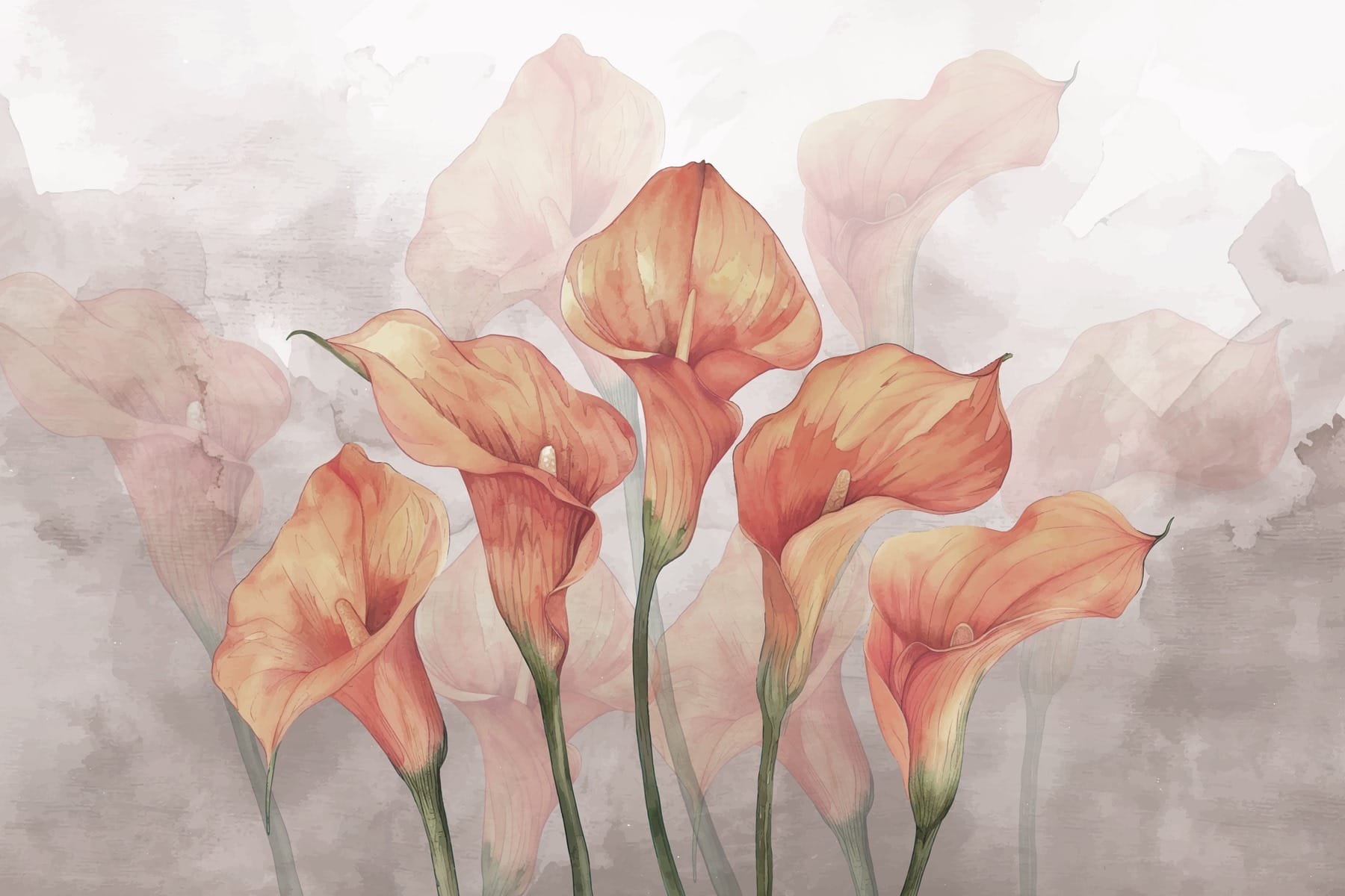 Group of orange flowers