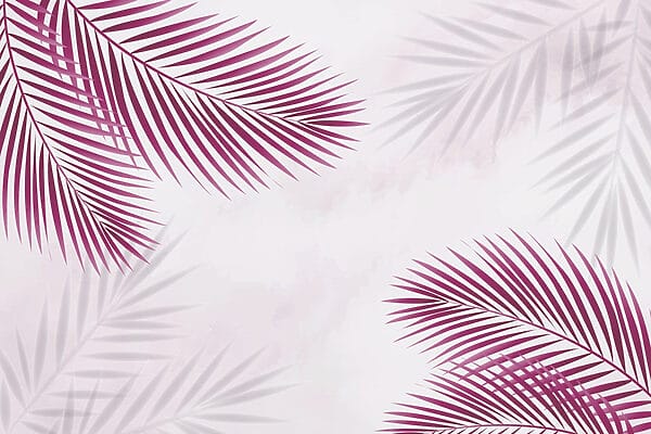 Purple leaves on a white background Purple leaves on a white background