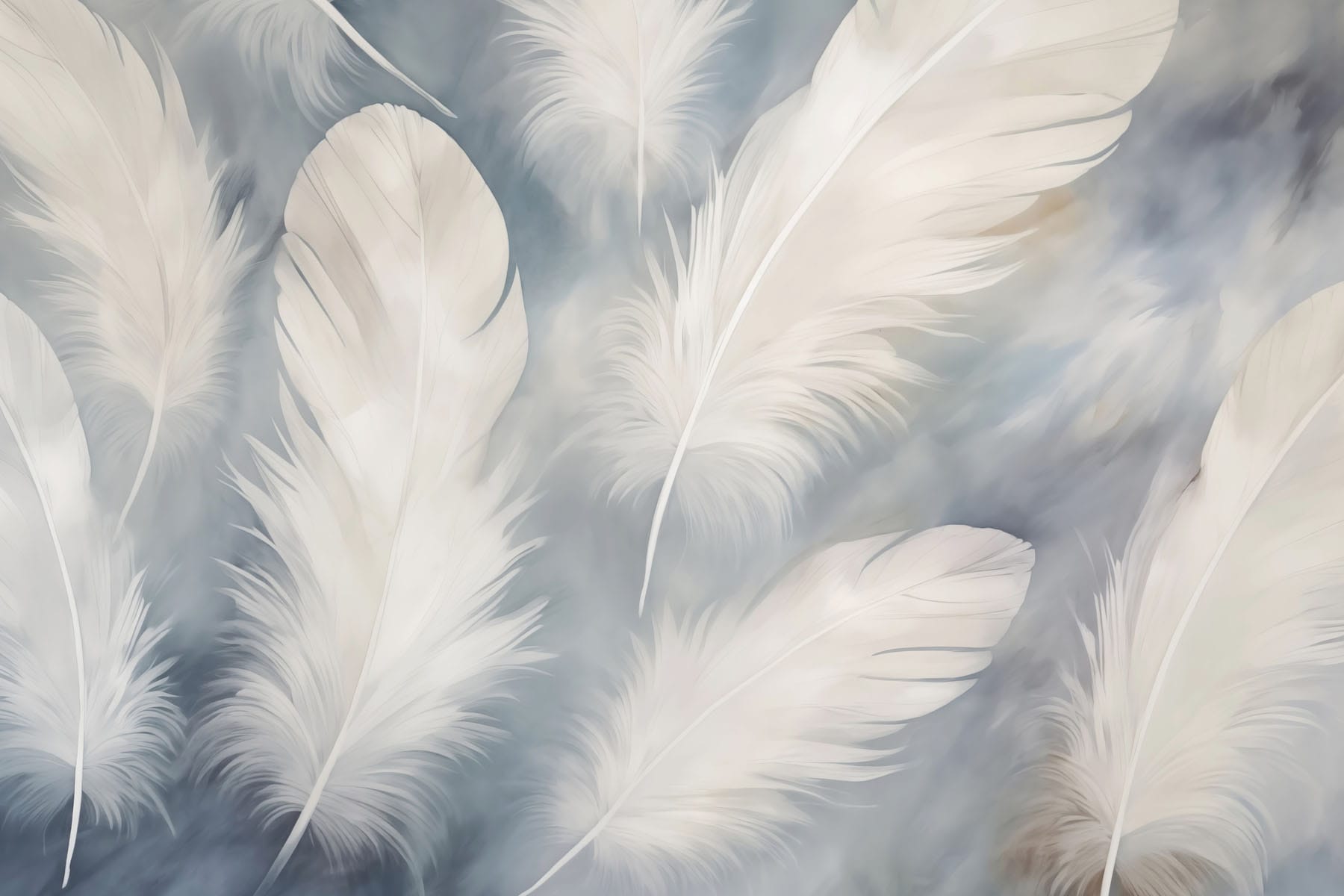 Group of white feathers