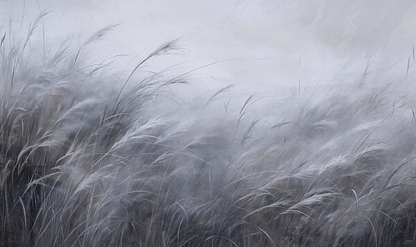 Soft whispers of blue-gray grass Soft whispers of blue-gray grass