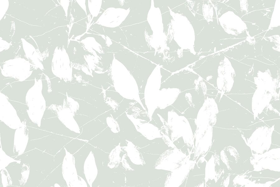 White leaves on a light green background White leaves on a light green background
