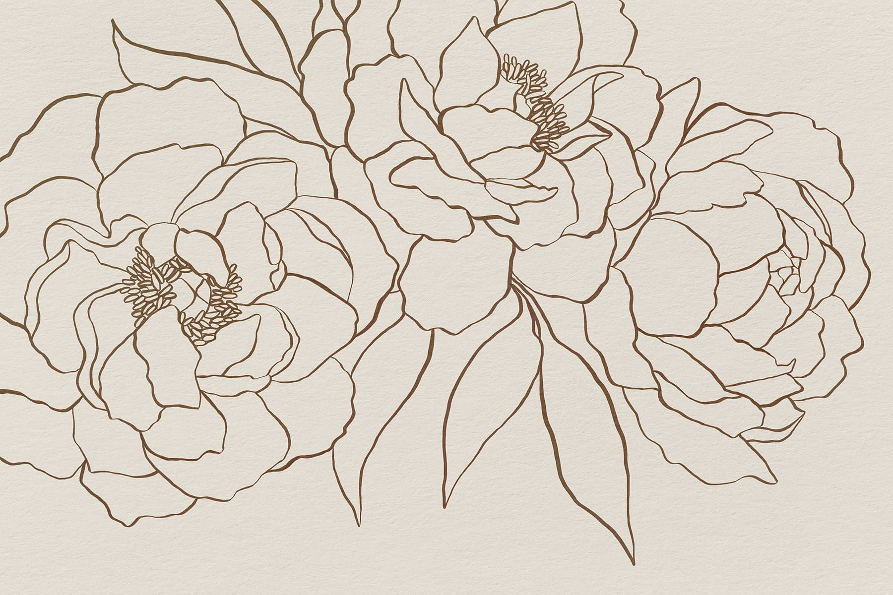 Drawing of flowers on a white surface Drawing of flowers on a white surface