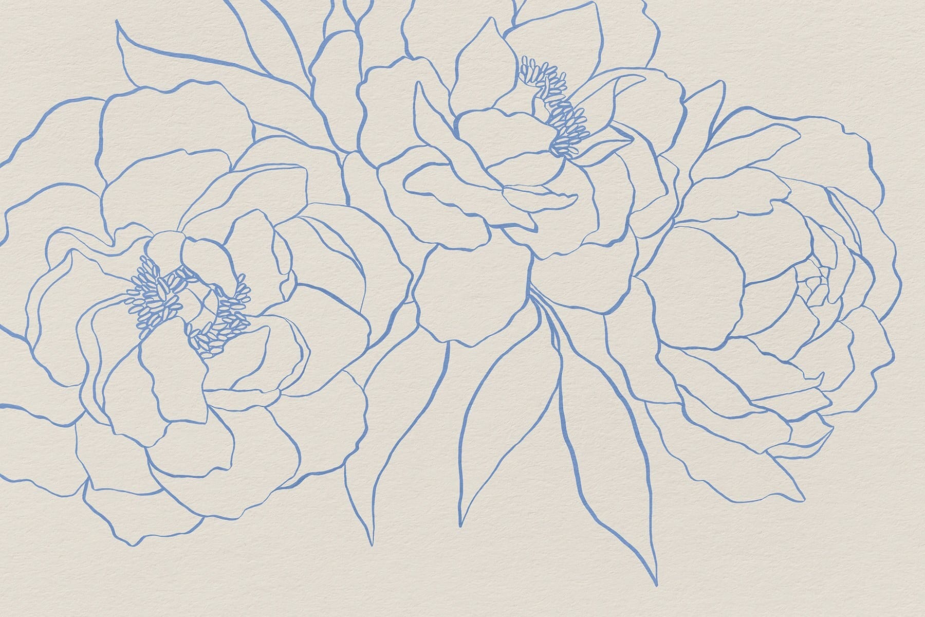 Drawing of flowers on a white surface