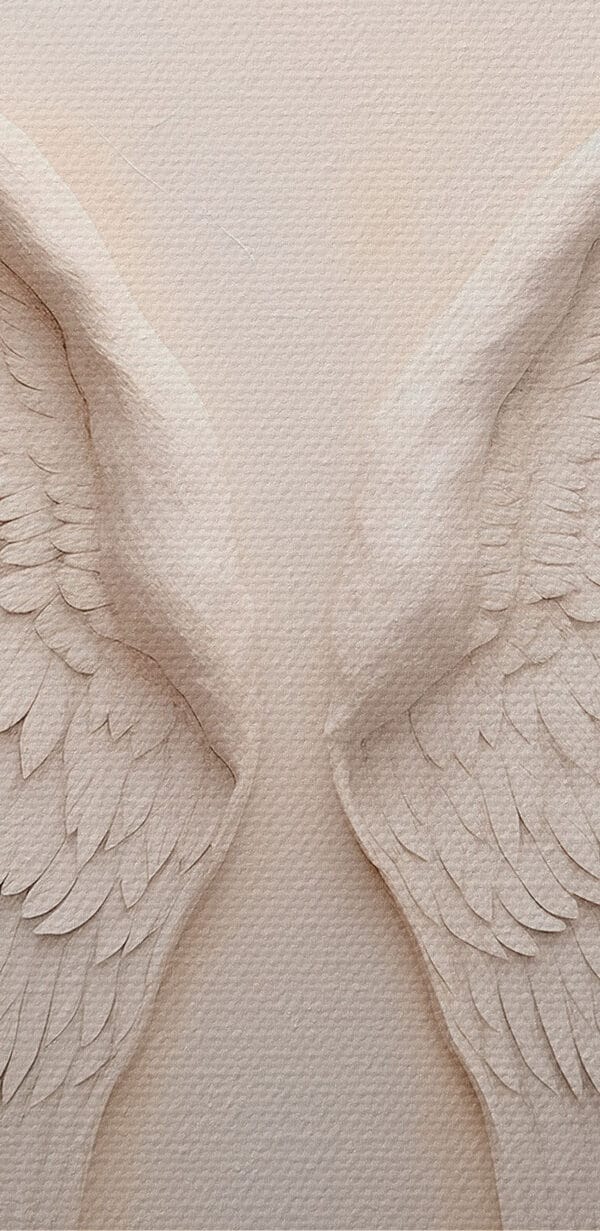Pair of white wings Pair of white wings