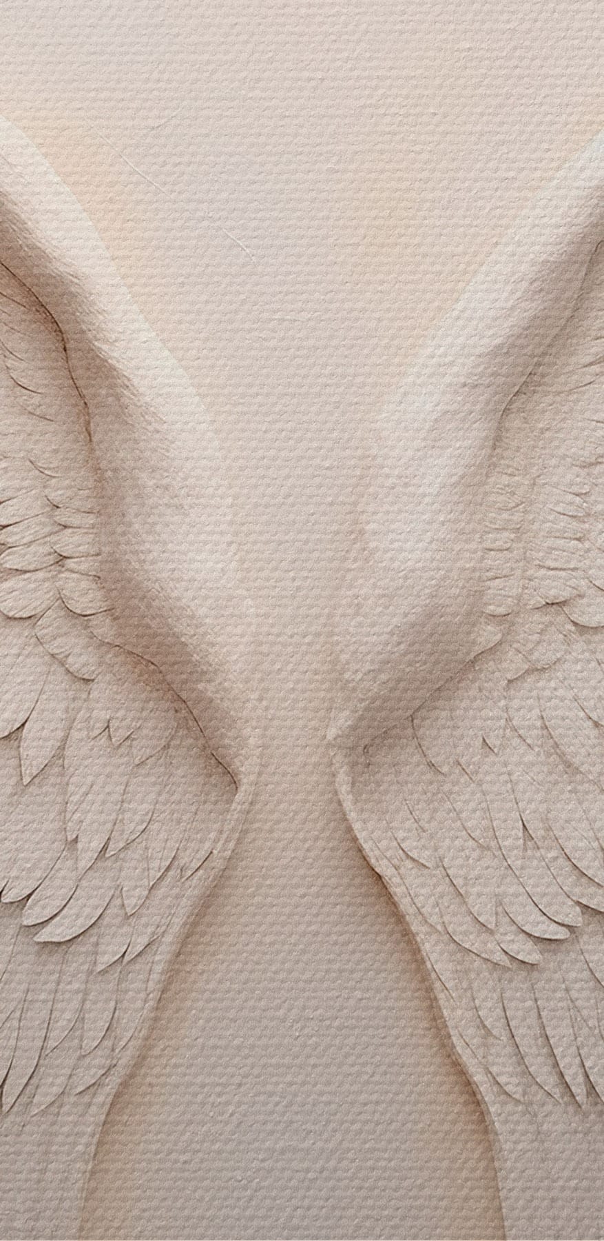Pair of white wings Pair of white wings