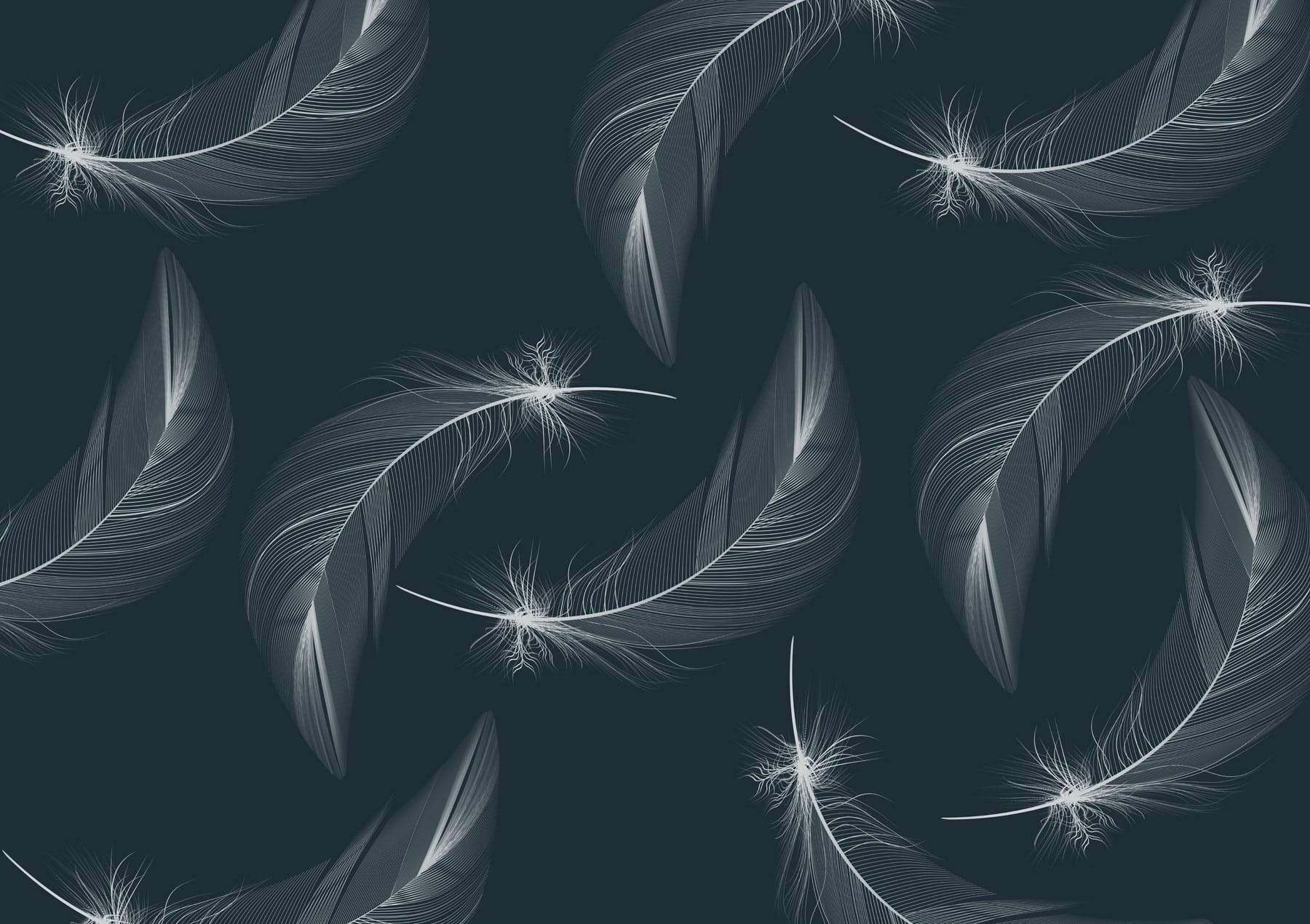 Pattern of white feathers