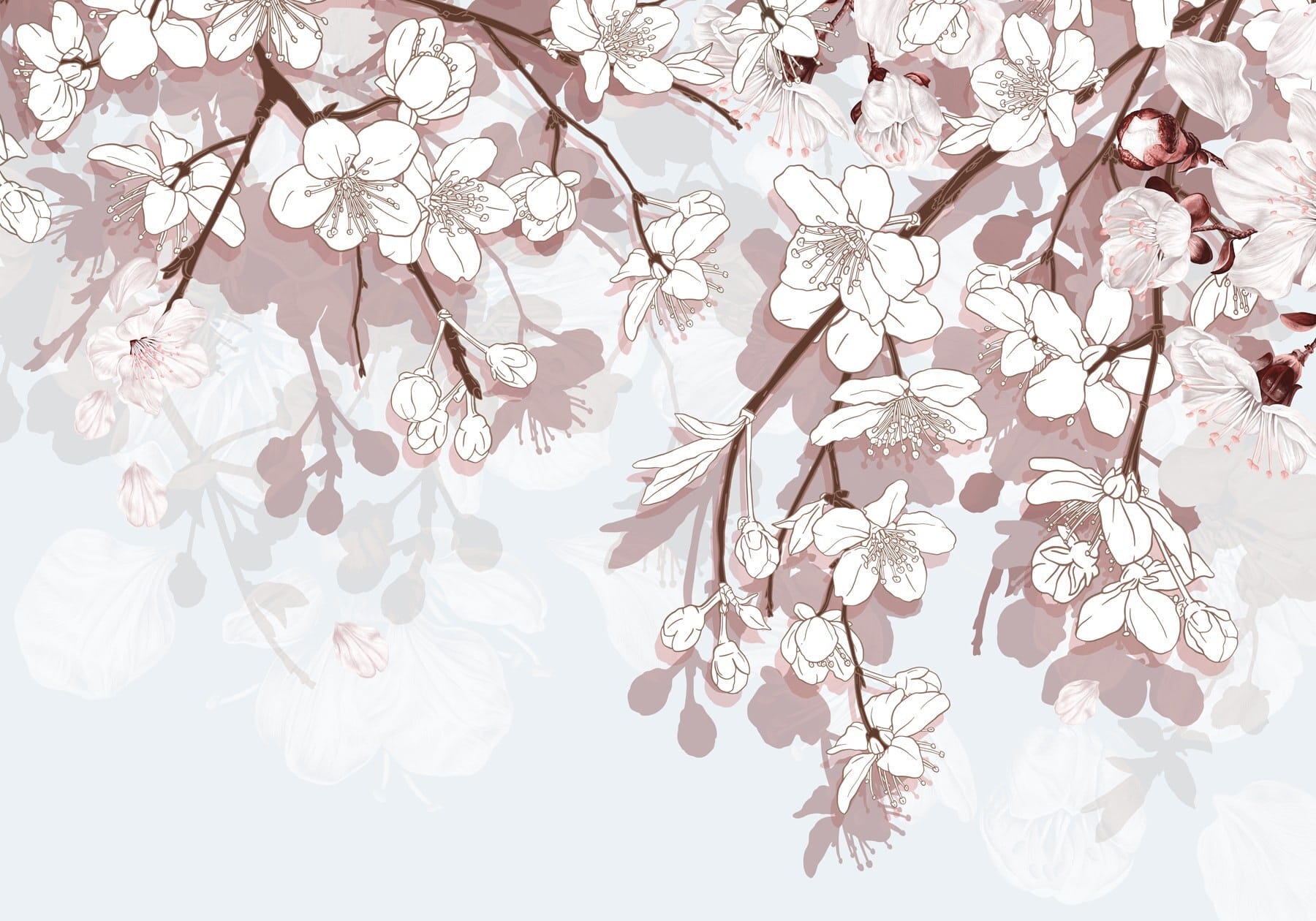 Delicate blossoms in soft hues Delicate blossoms in soft hues