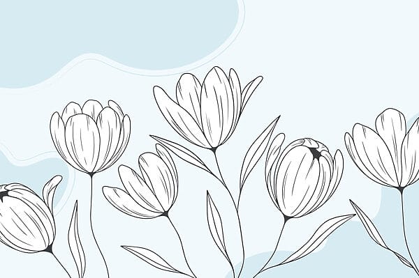 Line drawing of flowers Line drawing of flowers