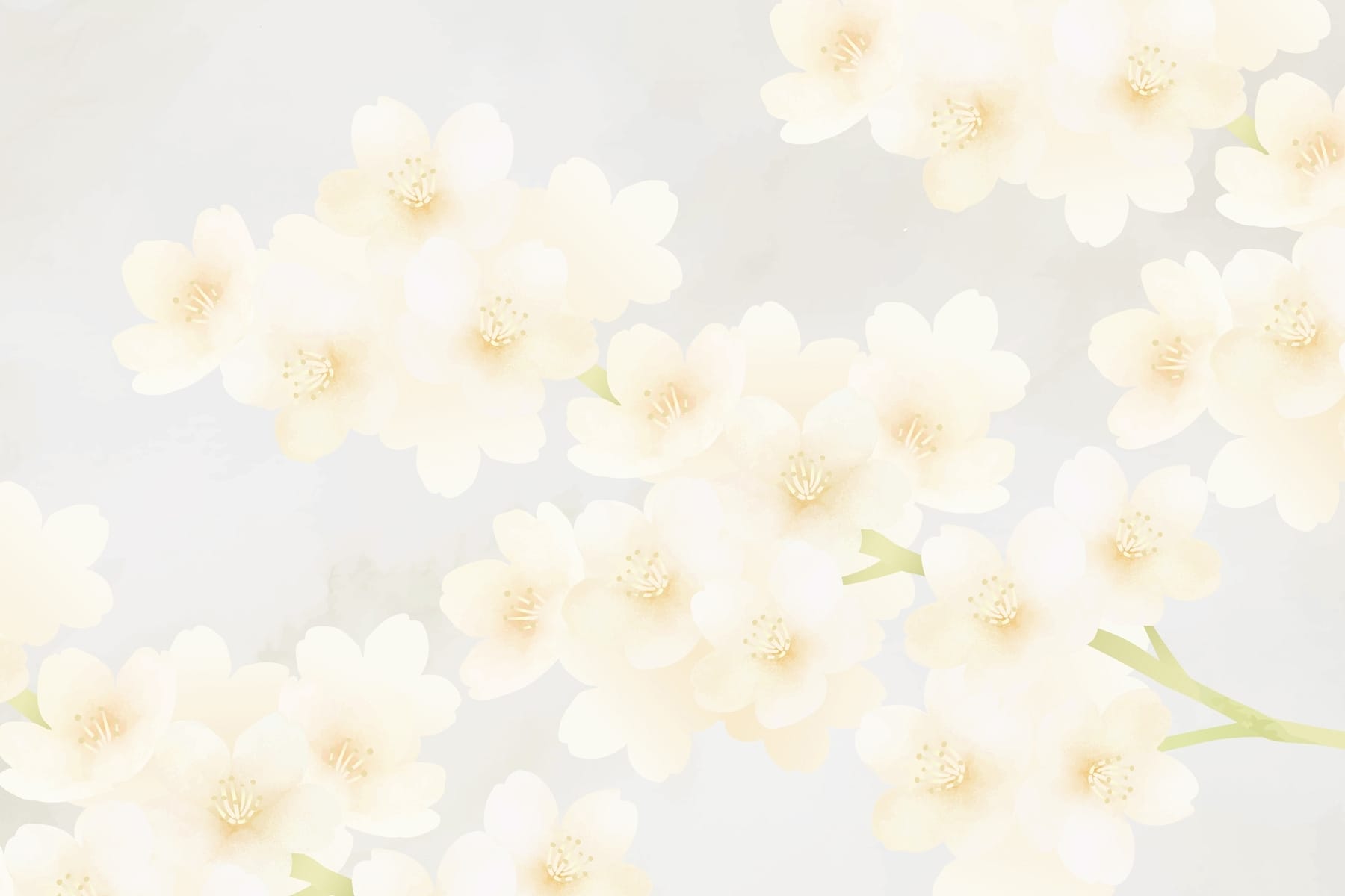 Group of white flowers