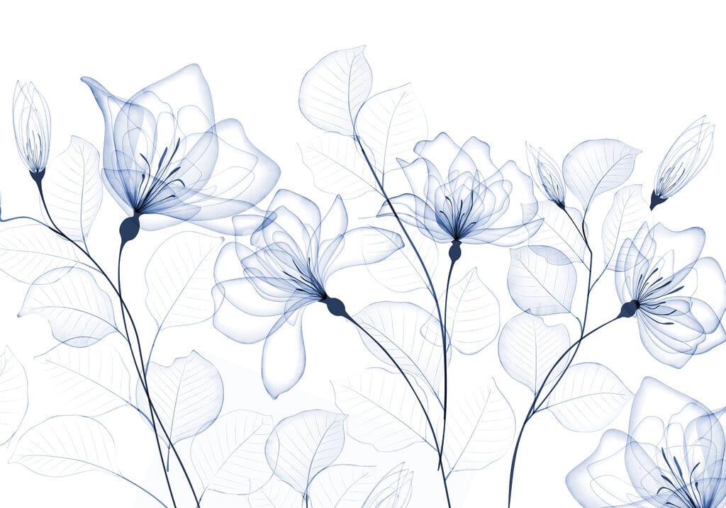 Transparent flowers and leaves