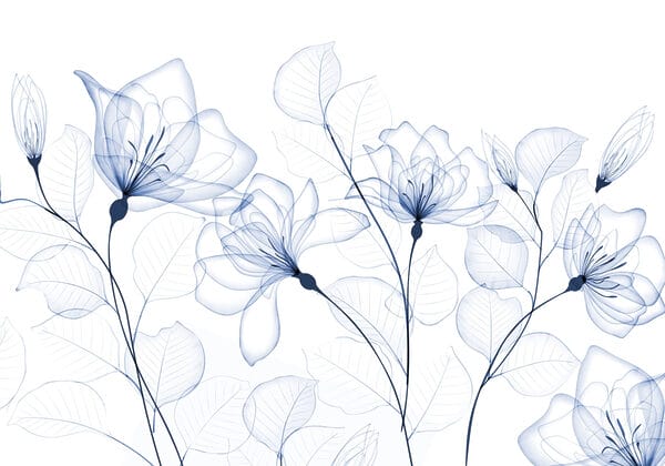 Transparent flowers and leaves