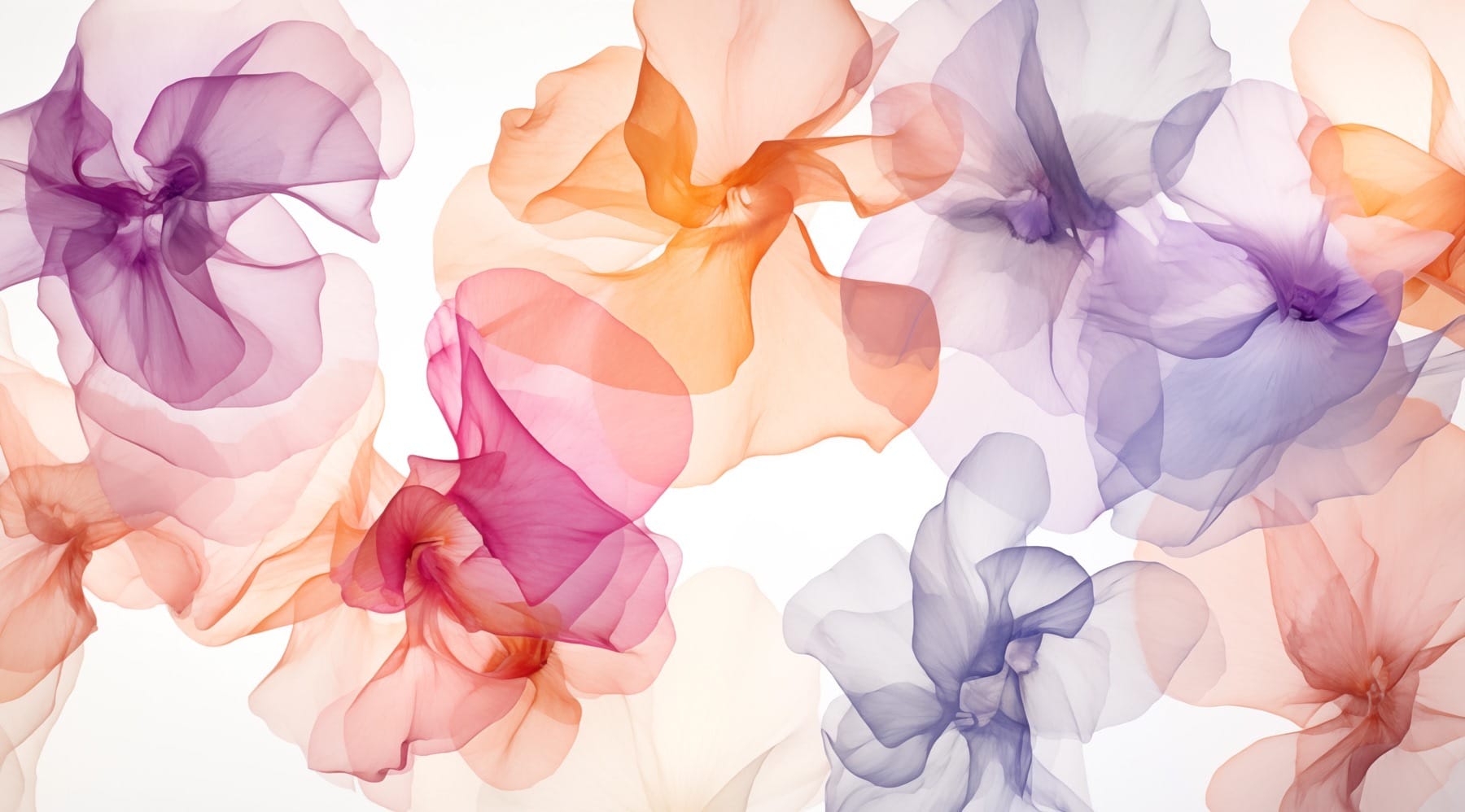 Group of flowers in different colors