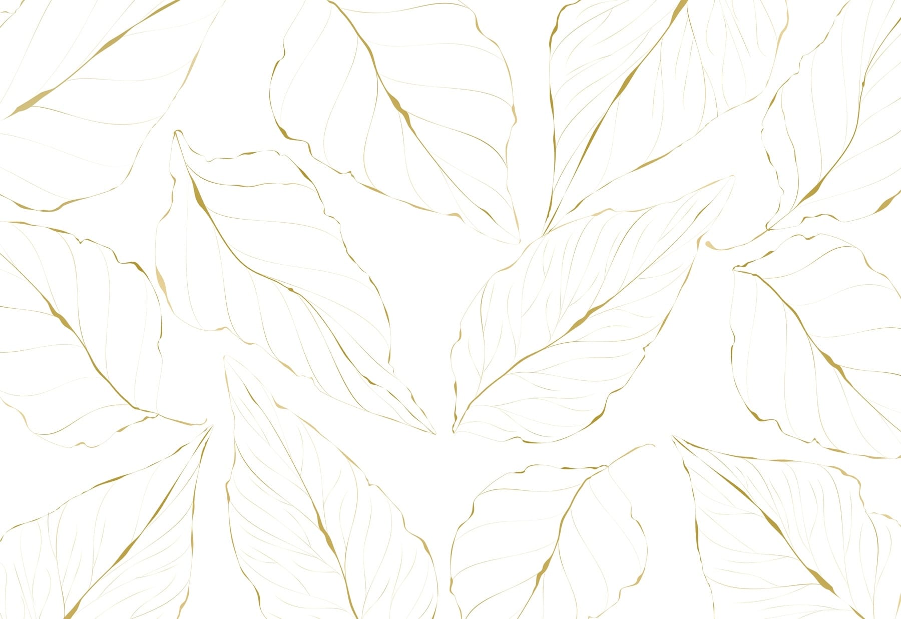 Pattern of leaves on a white background Pattern of leaves on a white background