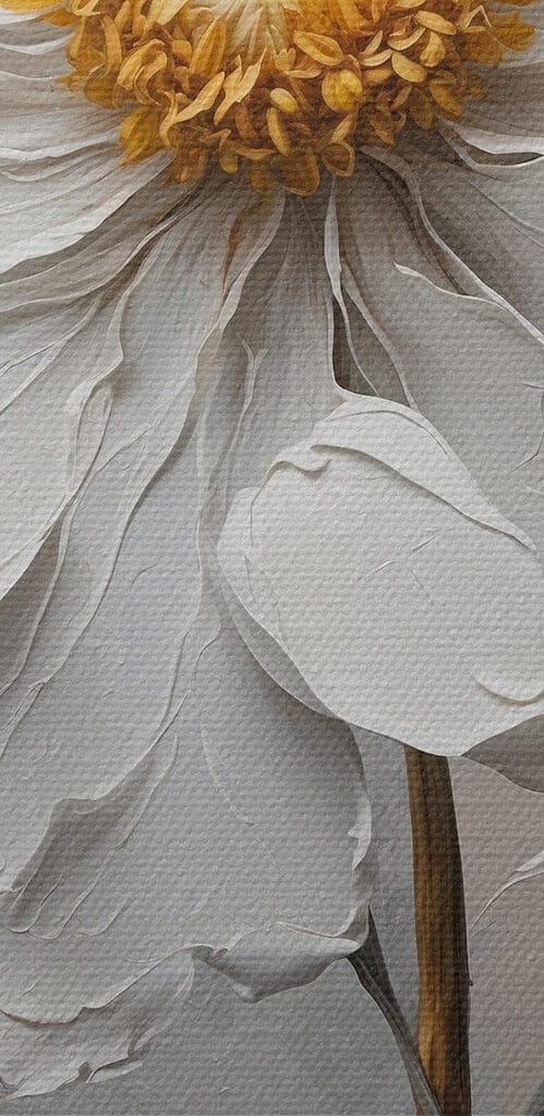 White flower with a yellow center