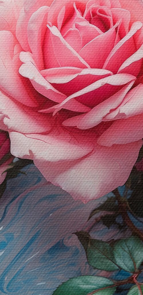 Group of pink roses on a blue and white surface