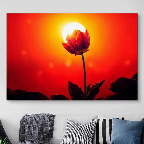 Red tulip with the sun behind it Red tulip with the sun behind it
