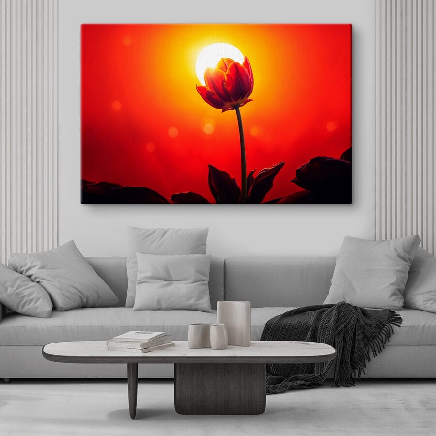 Red tulip with the sun behind it Red tulip with the sun behind it